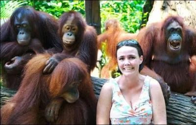 Que veut dire  Orang outan  en malais ?