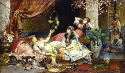 Nouvelle arrive au harem