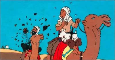 Quel est cet album de Tintin ?