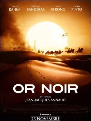 Or Noir est un somptueux film de Jean-Jacques Annaud avec Antonio Banderas. Mais, qu'appelle-t-on Or Noir ?