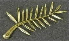 Dans le monde du cinma, dans quelle ville recevez-vous cette palme d'or ?