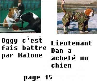 Qui a battu Oggy ?