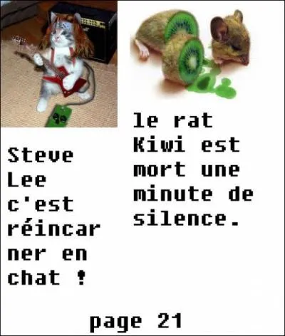 Qui s'est rincarn en chat ?