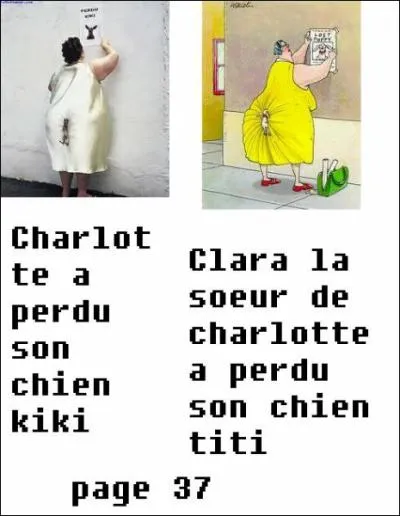 Quel animal ont-elles perdu ?