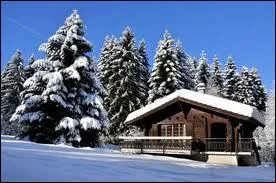 Chat +  Il n'est pas beau  :