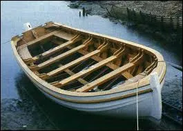 Chat +  on l'utilise pour voir plus gros  :