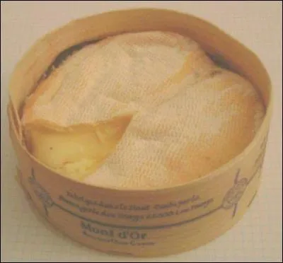 Comment s'appelle le mets reprsent sur cette photo ?