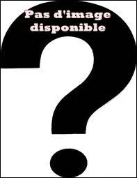 Enfin, pour couronner le tout, n'oublions pas le prfixe qui se rfre au monde,  l'univers (impossible, vous m'en excuserez, d'en fournir une image ! ). Il s'agit de ...