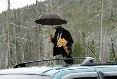 Chanson de Jacques Brel. Pour ce corbeau, malheureusement, elle ne viendra pas, de qui parle-t-on ?