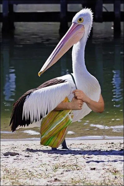 Petite sortie plage pour ...