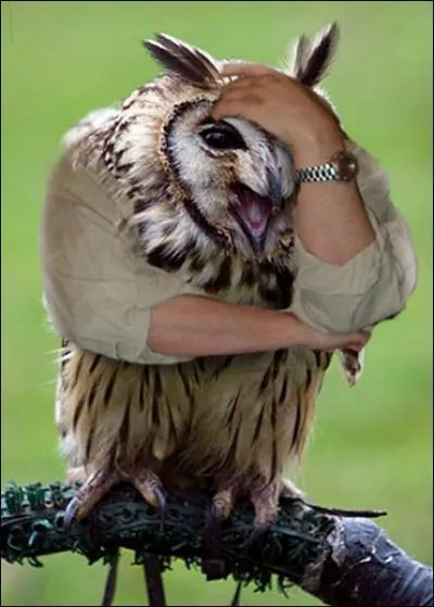 Crise de rire pour ce...