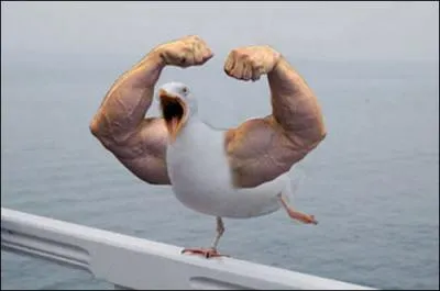 Gros bras pour cette...