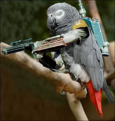 Autre rle dans Star Wars, Boba Fett, le chasseur de primes pour ce ...