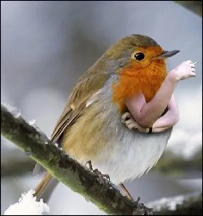 Une petite pause cigarette ( fumer tue) pour ce...