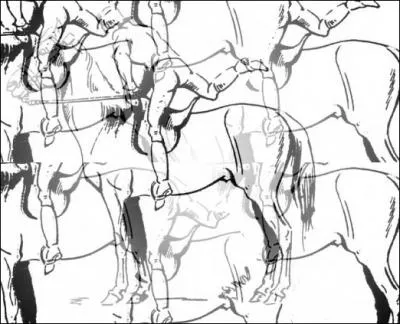 Une expression, cette fois :  /________/ sur ses /_________/ chevaux.  