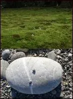 Ma grand-mre le disait souvent pour me mettre en garde contre la vie de bohme :  /_______/ qui /_______/ n'amasse pas /________/.  