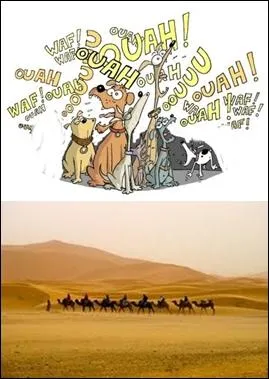 Ce proverbe est, quant  lui, arabe :  les /_____/ /_______/, /________/ passe.  