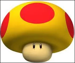 Comment s'appelle cet objet ?