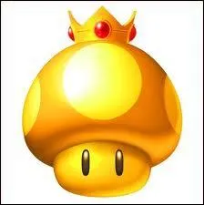 Comment s'appelle cet objet ?