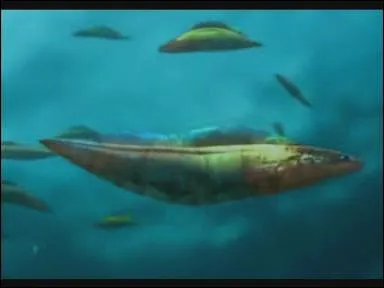  quelle priode est apparu le haikouichthys, un des premiers poissons ?