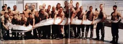 Le regalec (regalecus glesne) a longtemps t pris pour un serpent de mer gant par les marins,  cause de sa forme insolite. Quelle taille avait le spcimen le plus long que l'on a trouv ?