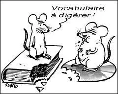 Qu'est-ce que le nife (ou nif) ?