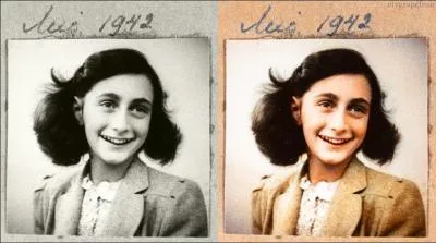 Jeune fille juive, née aux Pays-Bas, déportée durant la Seconde Guerre mondiale est décédée dans le camp de Bergen-Belsen. Elle est connue pour son journal.