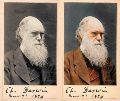 Charles Darwin était un naturaliste anglais, connu pour son travail sur...