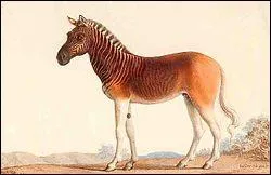 Deux rponses possibles. Un quid est :