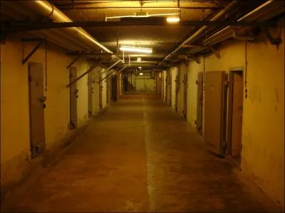 Dans quel pays plus de 350 dtenus sont morts dans l'incendie de leur prison le 15 fvrier ?