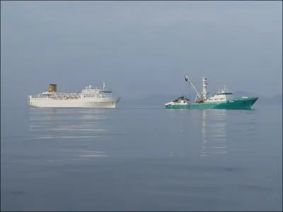 Aprs le naufrage du Costa Concordia, quel paquebot de la compagnie Costa Croisire a driv dans l'ocan Indien aprs l'incendie de ses moteurs ?