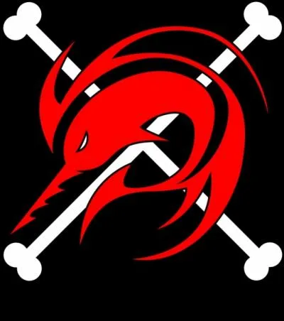 A qui appartient ce drapeau ?