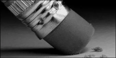 Lequel de ces mots correspond à au verbe "gommer" ?