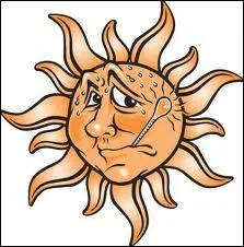 Chat +  pronom personnel  :