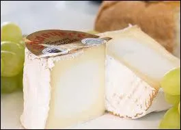 Chat +  plantigrade qui raffole du miel  :