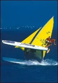 Chat +  changer de cap  :