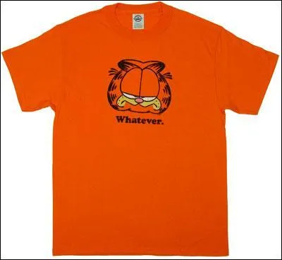 Quelle est la couleur du pull, que le matre de Garfield porte le plus souvent ?