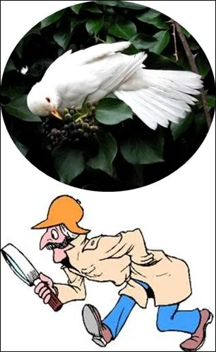 Figurez-vous qu'un jour, j'en ai aperu un. Il est peu frquent d'avoir cette chance. L'animal dont je parle est voqu dans la comparaison ... :