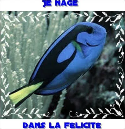 La seconde comparaison est, elle aussi, d'une facilit dconcertante.