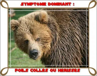 Celle-ci est un tout petit peu plus difficile ... si peu !