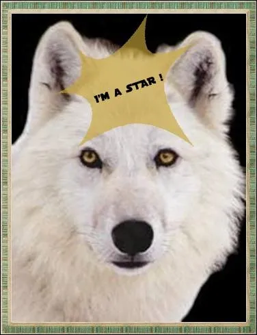 J'aime particulirement cette comparaison et l'animal qu'elle voque :