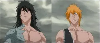 Que veut dire Mugetsu, la technique utilise par Ichigo en Ultime Getsuga Tenshu face  Aizen . (Voir pisode 309)