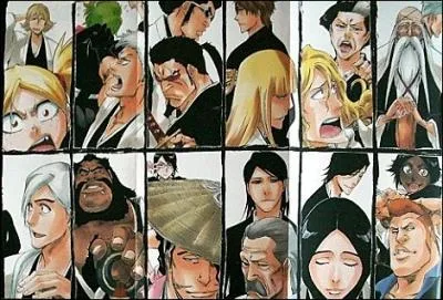 Pourquoi les Vizards vont-ils affronter Aizen ?