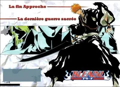 Dans quel but Yamamoto Genryusai Shigekuni, ordonne-t-il aux capitaines et vices-capitaines de la Soul Society de donner tous de leur reiatsu pour rendre ses pouvoirs  Ichigo ? (pisode 362)