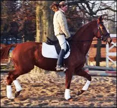 Pour trotter  juste il faut que :