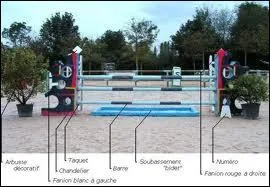 Combien existe-t-il de familles d'obstacles ?