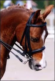 On excute un tourner grce  (au) ...