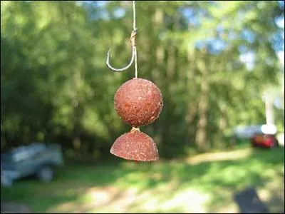 Comment appelle-t-on cet appt utilis pour la pche  la carpe ?