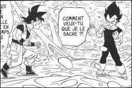O sont Vgta et Goku sur cette image ?