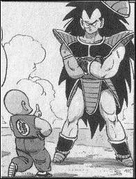 Que dit Krilin  Raditz quand il raconte son histoire ?